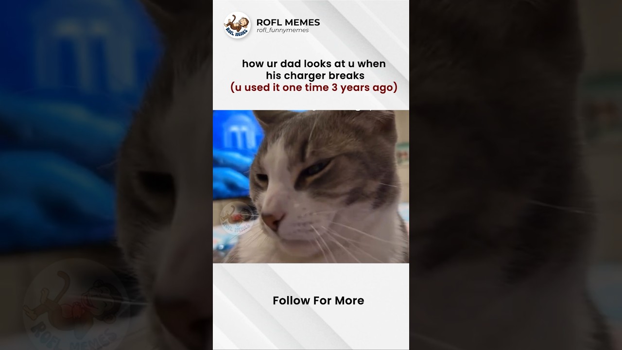 My dad everyday....🥲🥲🥲