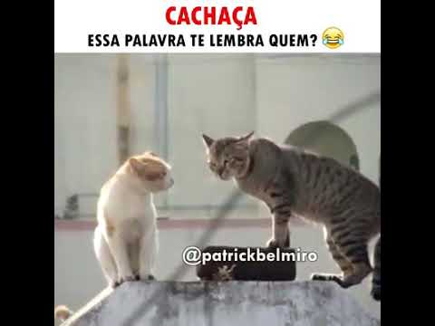 Cachaça video