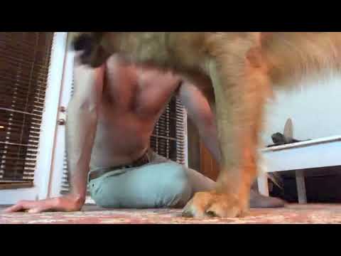 June 3, 2020 | 100 push-ups