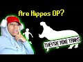 TierZoo - Are Hippos OP? | REACTION