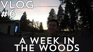 A Week In The Woods