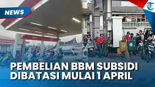 MESKI HARGA Tak Naik, Pembelian BBM Mulai 1 April, Pertalite dan Biosolar Dibatasi
