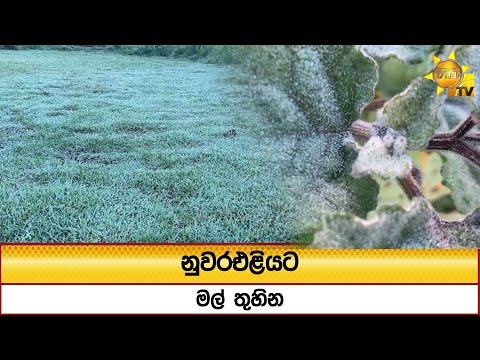 නුවරඑළියට මල් තුහින - Hiru News
