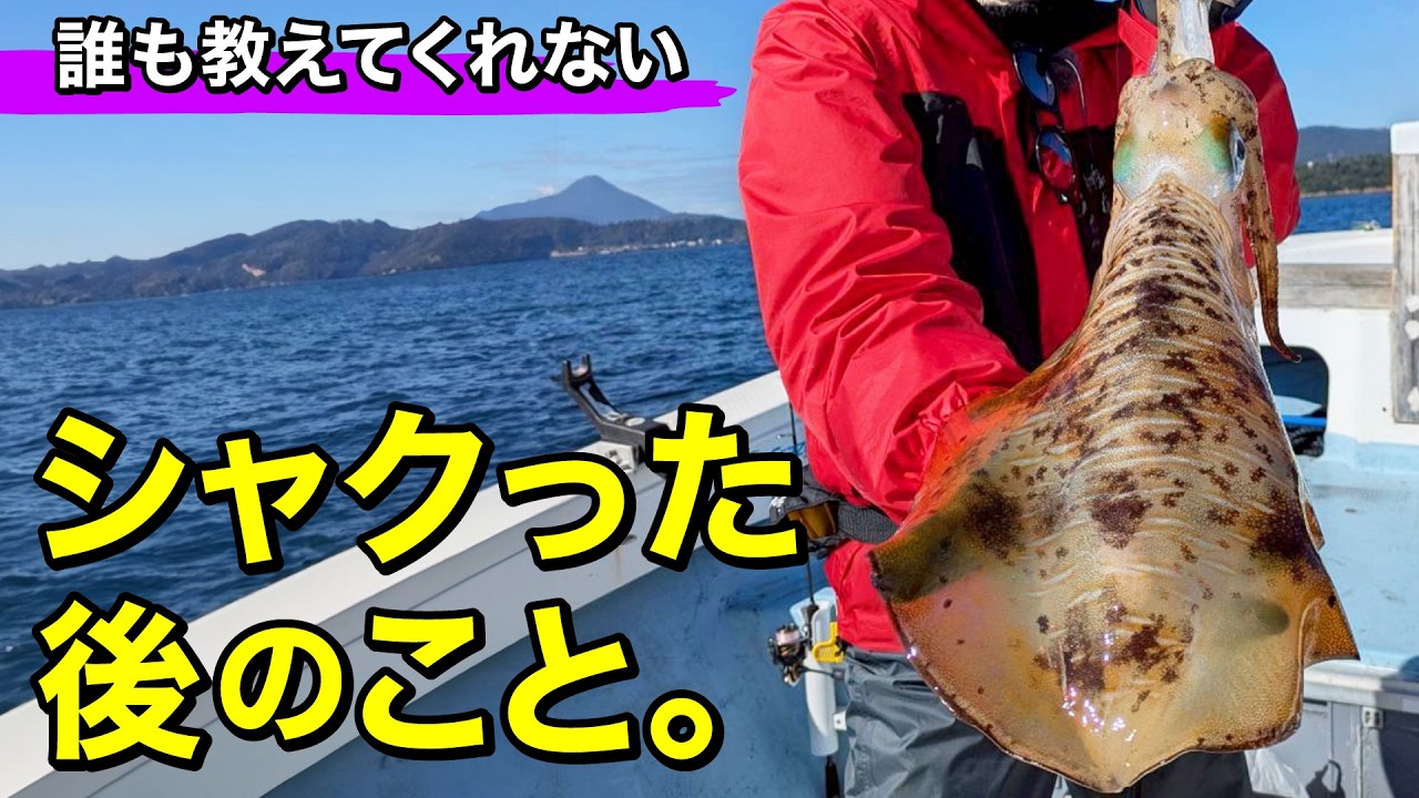 【ティップラン】シャクった後、放置してませんか？これを意識するだけで釣果が劇的に変わります｜ルアルアチャンネル地域限定版（3/8～3/22）