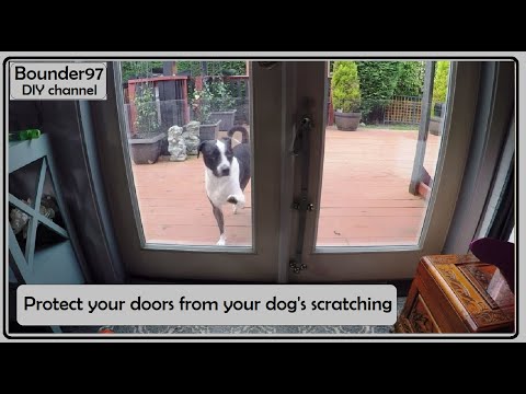 YouTube video about: How to protect a door from dog scratches?