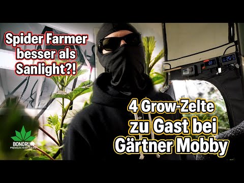 Spider Farmer better than Sanlight?! 😱 | 4 Tents & Home Grow Tour Part 2 – Visiting Gardener Mobby!