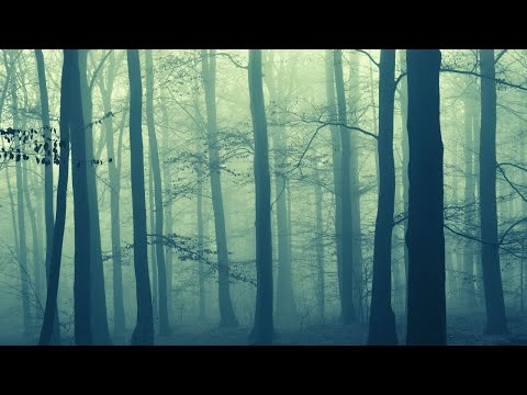 1 Hour of  Dark Background, Scary Halloween Music, 恐怖音樂音效, 恐怖背景音樂, 恐怖, 靈異, 緊張
