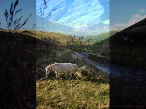 Arif - Ajde vrati glava