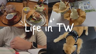 台湾生活Vlog|ゆるい3日間のリアル