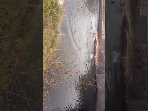 At Pattya beach enjoy