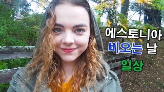 비 오는 가을 날의 일상 |  rainy autumn day in Estonia vlog | 한국어 하는 에스토니아 여자 | CC Eng sub