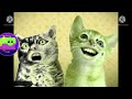 Numa Cat In Diamond Major G Major 4