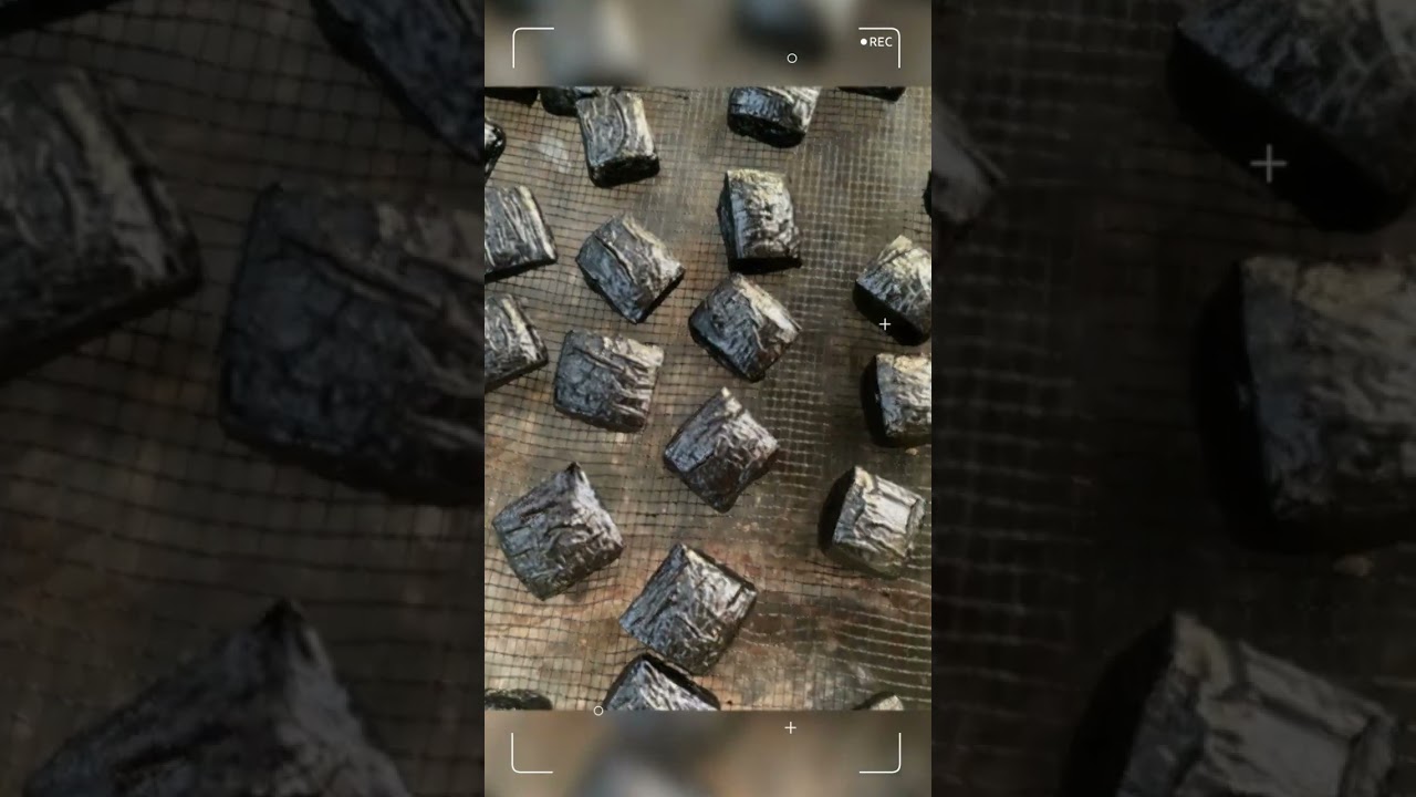 #tintagambier #pemilu2024 #export #spices #padang #herbs #rempah  #gambir