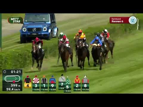 The Arc Sale - Lot 29 - NEXT TIME - 2nd Grosser Preis der Wirtschaft - Gr3 - Dortmund