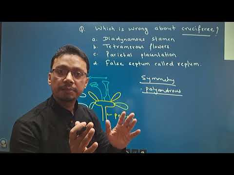 CEE 2081 MEMORY BASED QUESTIONS; Part :25 (UNIT: BASIC COMPONENT OF LIFE AND BIODIVERSITY)