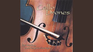 Steph Jansen (Prs) - B Major Drone video
