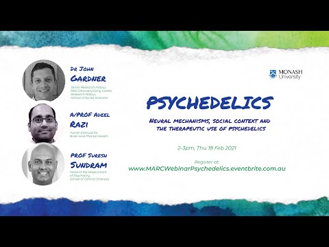 Psychedelics: neural mechanisms, social context and the therapeutic use of psychedelics