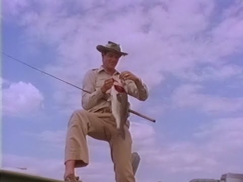 Doug Hannon - The Bass Professor - Understanding Bass (1985)