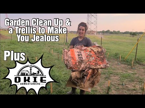 Garden Clean Up and Josh Sattins, A Trellis to Make You Jealous