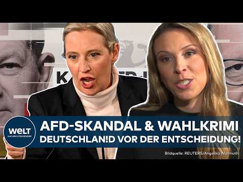 AFD UNTER DRUCK: Spendenaffäre! Neue Vorwürfe vor Bundestagswahl sorgen für Debatten