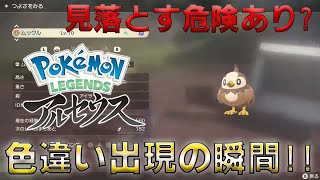 色違い出現の瞬間!!状況によっては見落とすかも…？【Pokémon LEGENDS アルセウス】