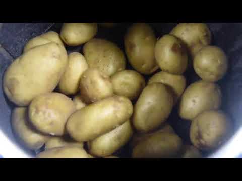 SS Potato Peeler