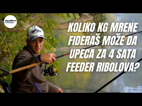 UŽIVO SA VODE: Feeder ribolov mrene na Velikoj Moravi