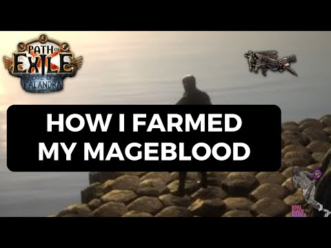 [PoE 3.19] How I Farmed My Mageblood by Day 3 in Lake of Kalandra