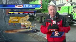 Summer drought affecting strength of trees