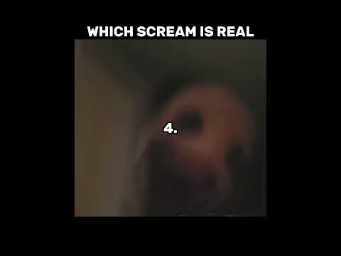 vita carnis meme | which scream is real with elder mimic #vitacarnis