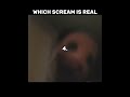 Vita Carnis Meme Which Scream Is Real With Elder Mimic Vitacarnis
