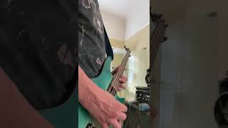 Monaco shine bass cover