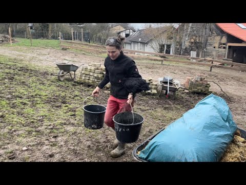 Grundreinigung des Hühnerhauses