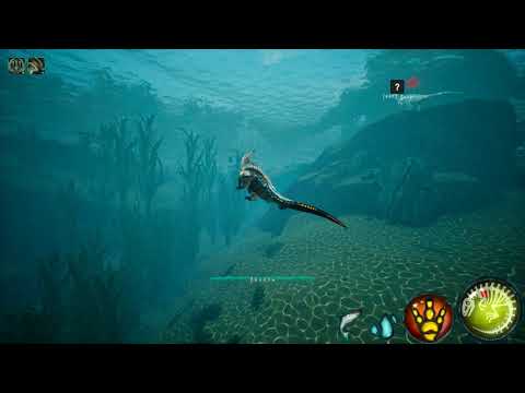 Desktop 2021.05.23 - 12.33.55.02.DVR