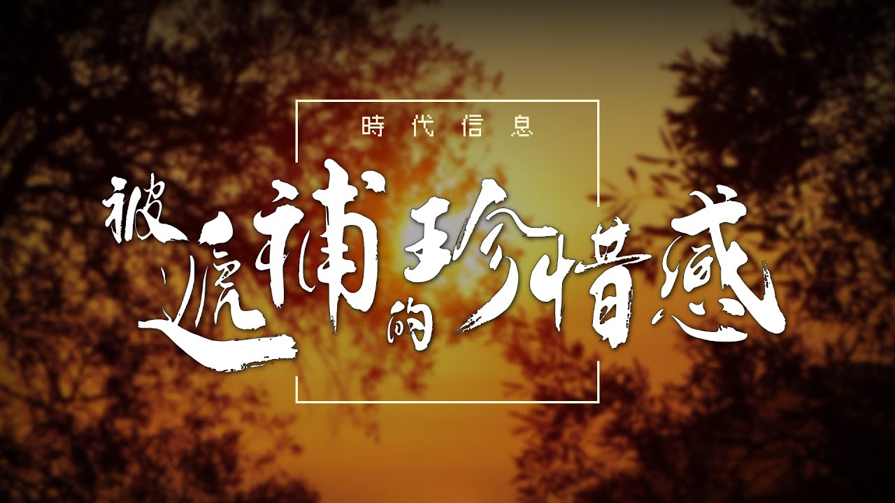 被遞補的珍惜感