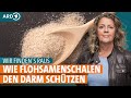 Wie Flohsamenschalen Den Darm Schützen I ARD Gesund