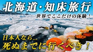 【北海道旅】冬の知床が最高すぎる…国内屈指の絶景•グルメ•温泉旅3泊4日❄️