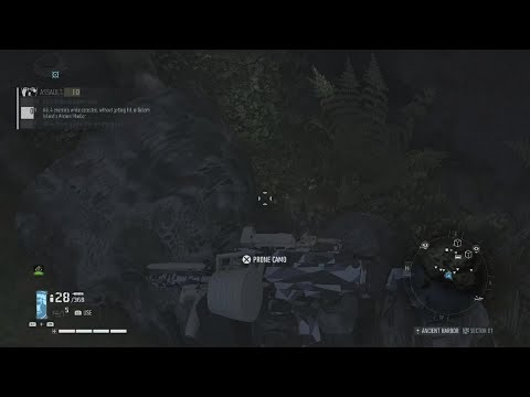 G.R Breakpoint 'Assault' Kill 4 enemies while detected without getting hit in Ancient Harbor