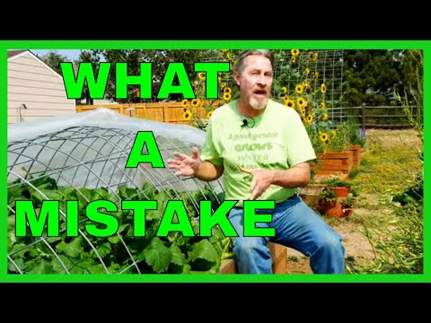 YouTube video about Recap: lawn fertilizer dos and don’ts