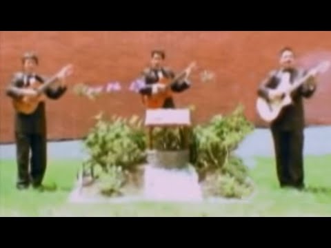 CORAZON LOCO Los Antares