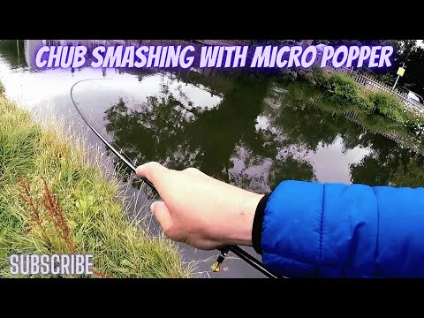 Nano popper smashed the chub at local canal
