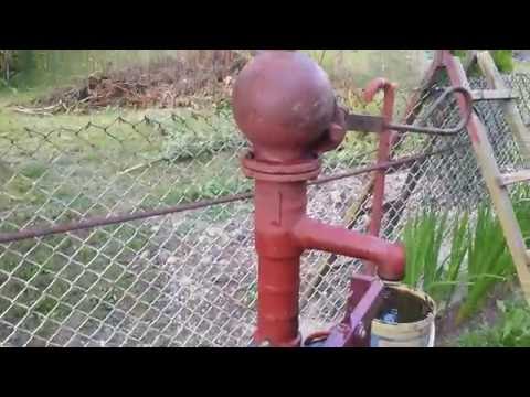 Abisynka wydajność