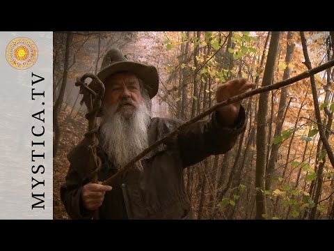 Wolf-Dieter Storl - The Hazel | MYSTICA.TV