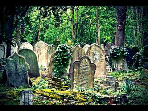 NOW EASY feat. aikko  RIPLOVE (FUTURIO prod.)