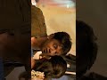 Duniya Vijay Romance Scenes In Bheema Sandalwoodsalaga Actress