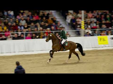 15 Quasi Quadam PB Schau Verden