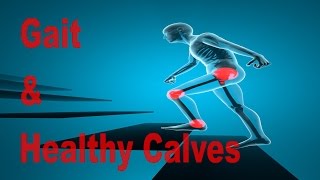 Calf Flexibility and Gait