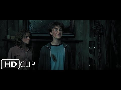 彼得-佩迪格魯的真相｜《哈利-波特與阿茲卡班的囚徒 (The Truth of Peter Pettigrew | Harry Potter and the Prisoner of Azkaban)