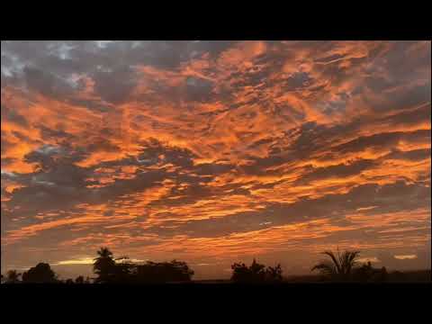 Daily Devotions March 1, 2022