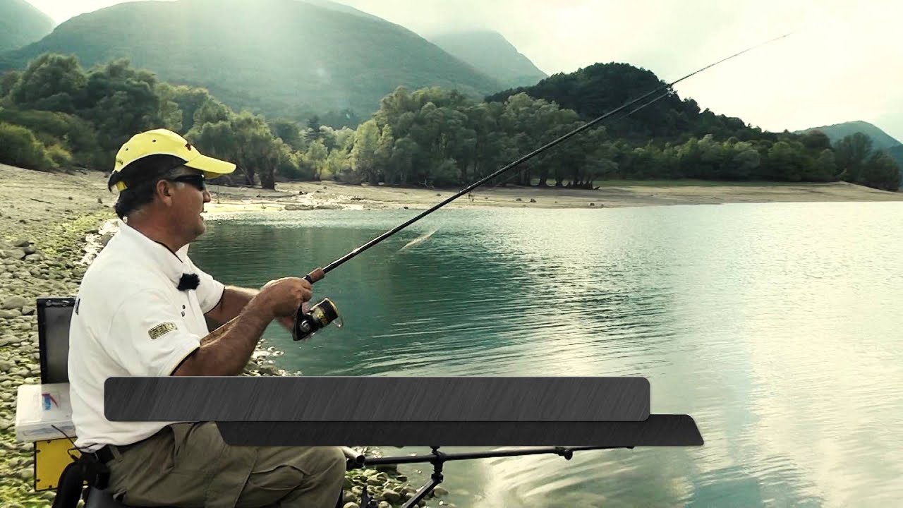 Tubertini - Spot Concept Feeder